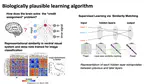 Biologically plausible supervised learning algorithm