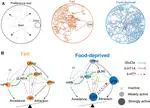 Internal state dependent olfactory behavior