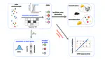 Optimal nonlinear compressed sensing in olfactory periphery