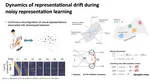 Representational drift