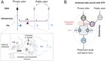 Short-term plasticity in early olfactory information processing